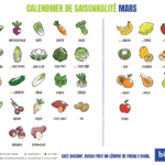 Mars Calendrier Fruits Legumes Saison